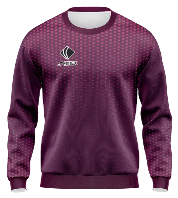 BUZO DEPORTIVO CUELLO REDONDO PERSONALIZADO BUZO HBC NANTES 2020-21 MORADO - LILA - CIRCULOS COD: 0097 .