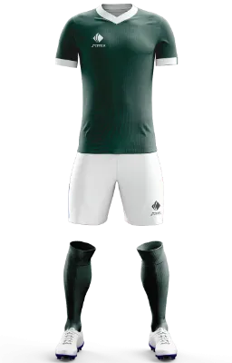 Conjunto Futbol Cod 0162 Puma Palmeiras Concept Green 2021verde - blanco - hojas .